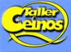 Logo de Taller Ceinos